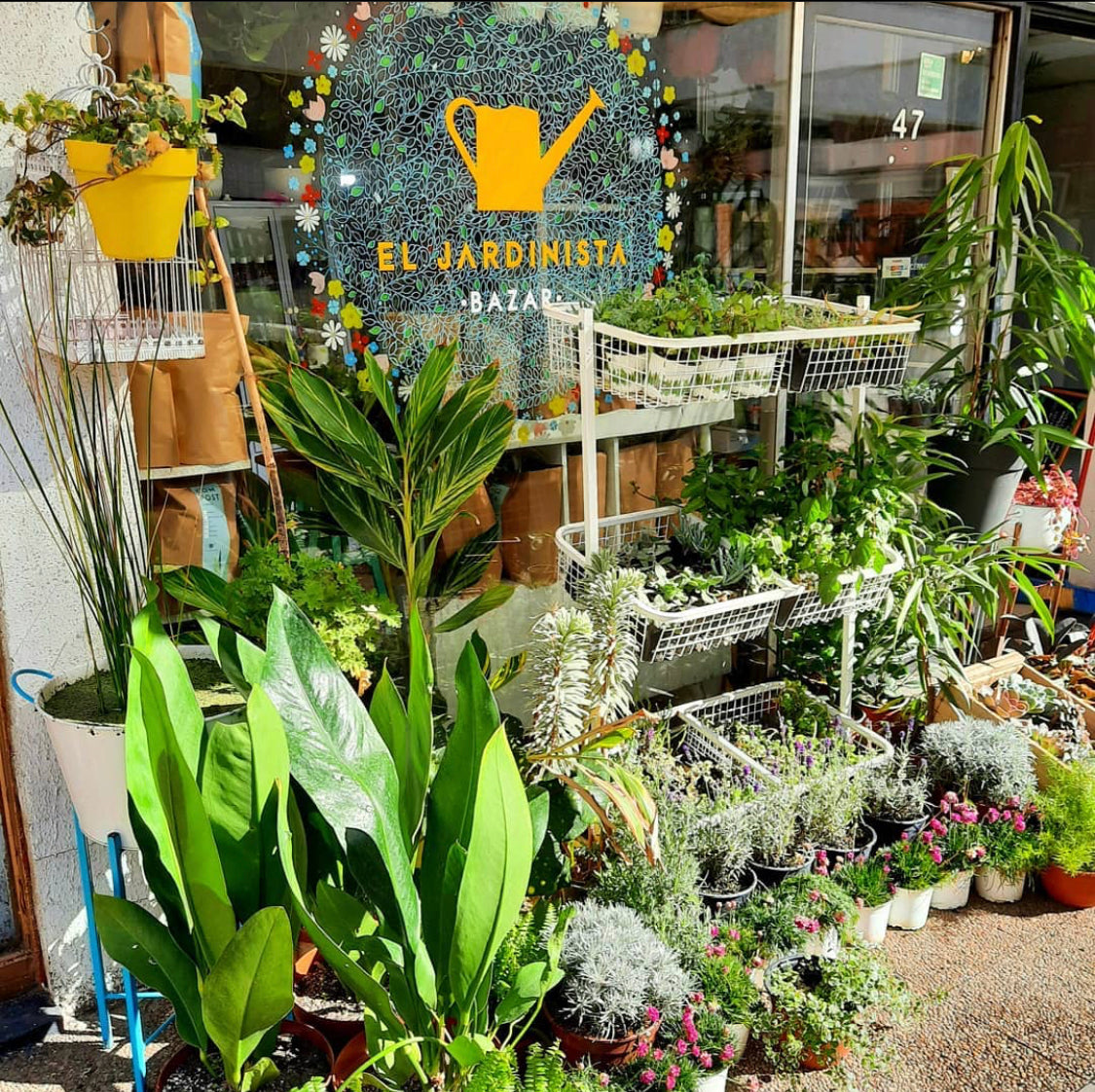 EL Jardinista: ¡La tienda de tus plantas!